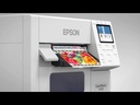 Impresora de Etiquetas EPSON ColorWorks C4000